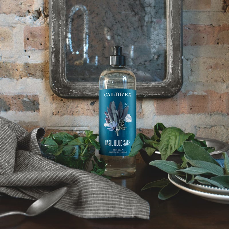Caldrea Dish Soap  Biodegradable Dishwashing Liquid made with Soap Bark and Aloe Vera  Basil Blue Sage Scent  16 oz - Image 4